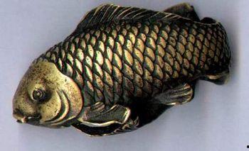 蛇眉铜鱼真实照片,古老传说中的珍稀水族